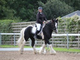 IMG_0883_web